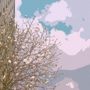 办公室秘书nylon丝袜 女性
